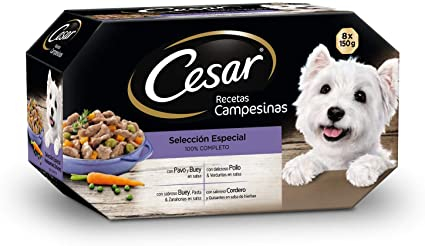 Barquette de pâtée pour chien CÉSAR – repas savoureux et équilibré pour chien adulte