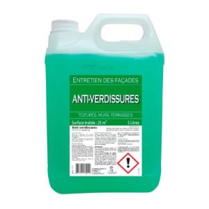 ANTI VERDISSURES - ENTRETIEN 25M²