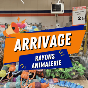ARRIVAGE AU RAYON ANIMALERIE !