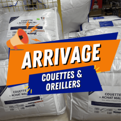 ARRIVAGE DE COUETTES ET OREILLERS