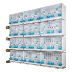 🐦 Batterie d’élevage oiseaux – 6 × 4 cages neuves