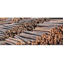 bois de chauffage 2 metres