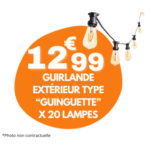 Guirlande type "Guinguette" 20 lampes pour extérieur