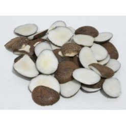 ivoire végétal 10 kg