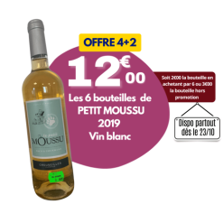 PETIT MOUSSU - Vin blanc 2019