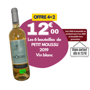 PETIT MOUSSU - Vin blanc 2019