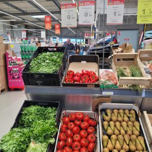 TOMATE - Origine Belgique CAT 1